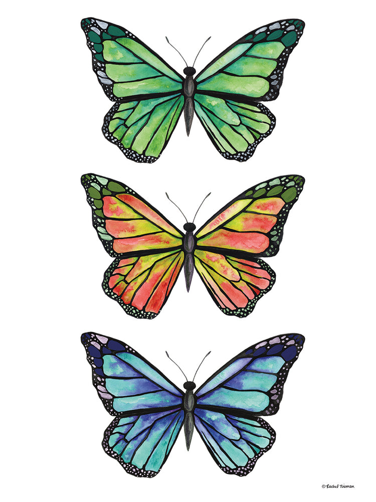 Stacked Wonderful Butterflies