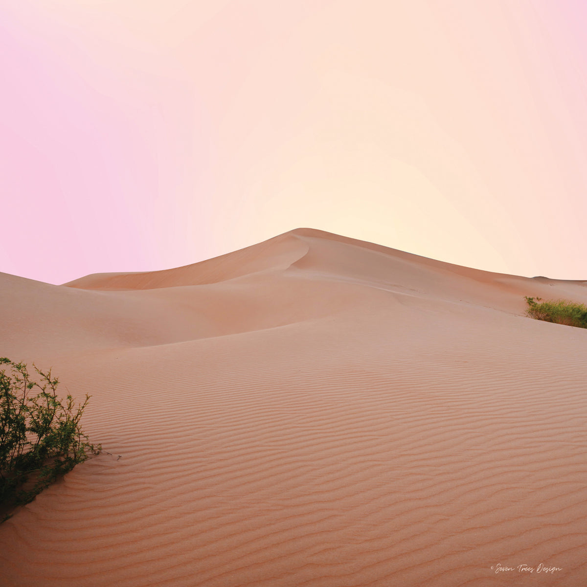The Calm Dune