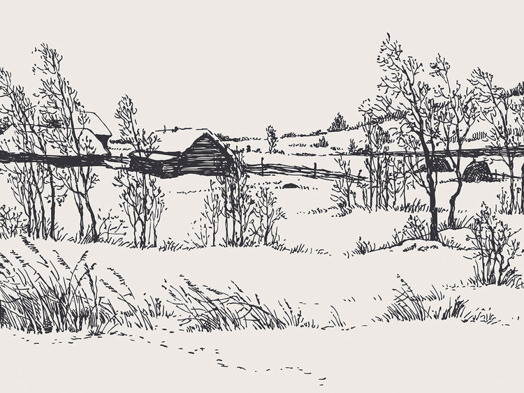 Campo helado de invierno Lienzo