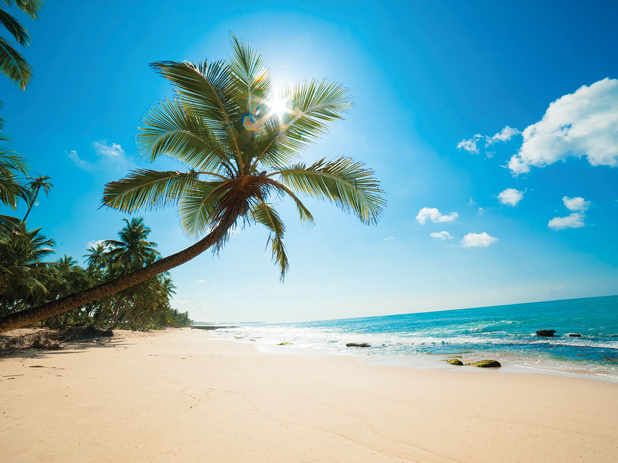 Palm Beach inclinada Lienzo