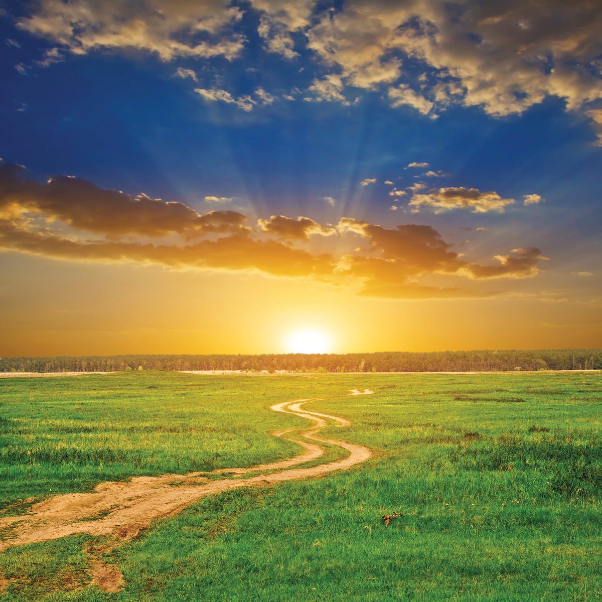 River Road Sunset