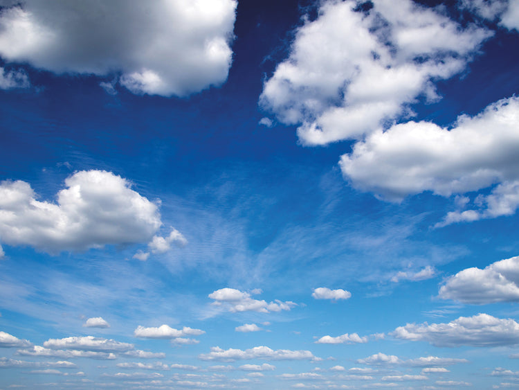 ¿Qué ves en las nubes? Lienzo
