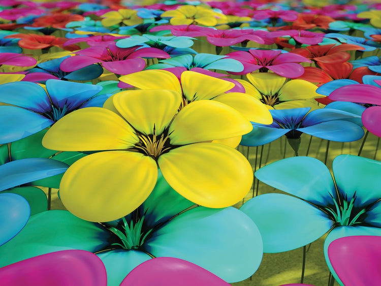 Rainbow Petals Pathway