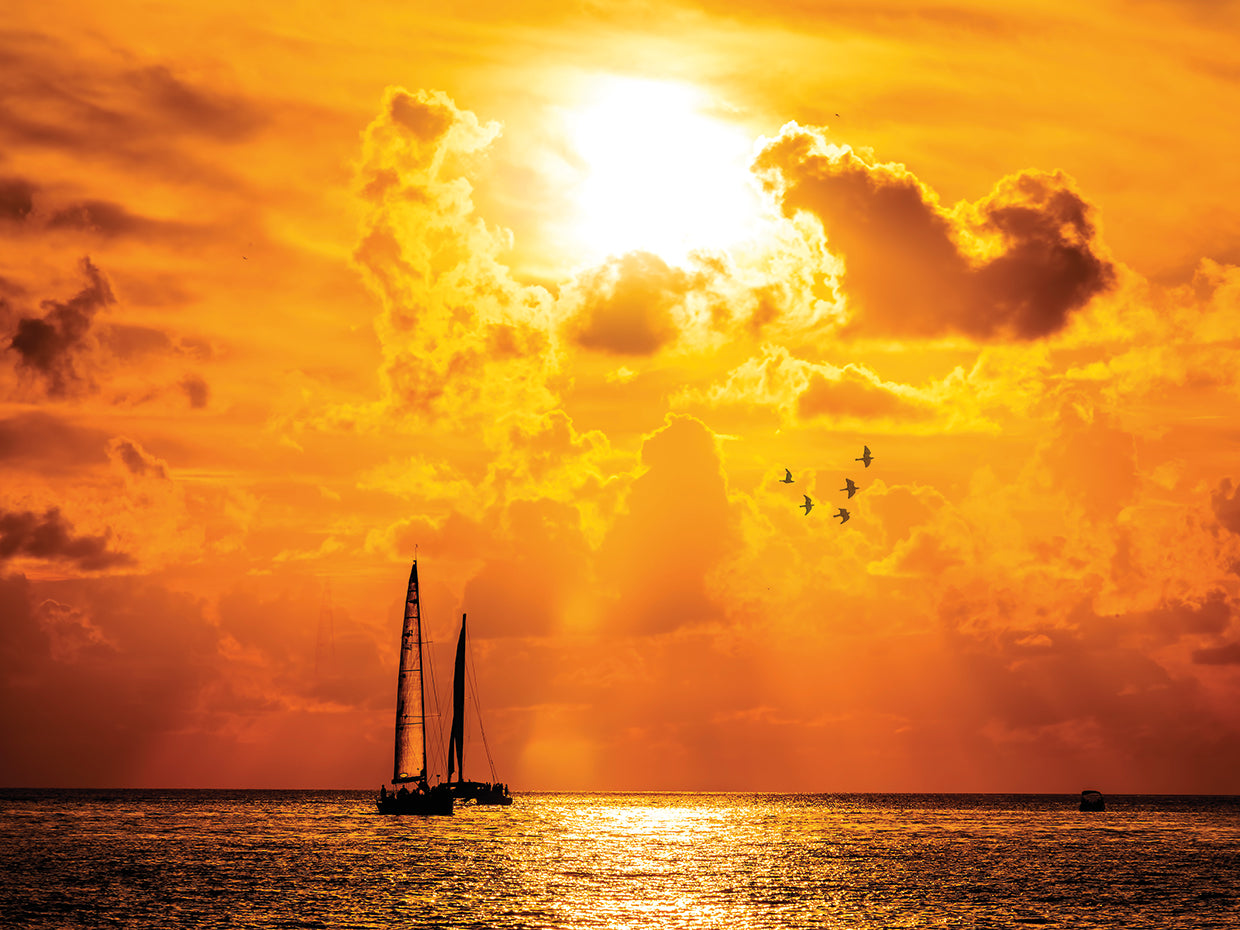 Sunset Sail Key West Gold