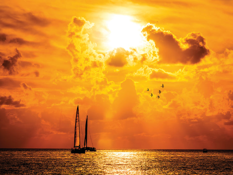 Sunset Sail Key West Gold