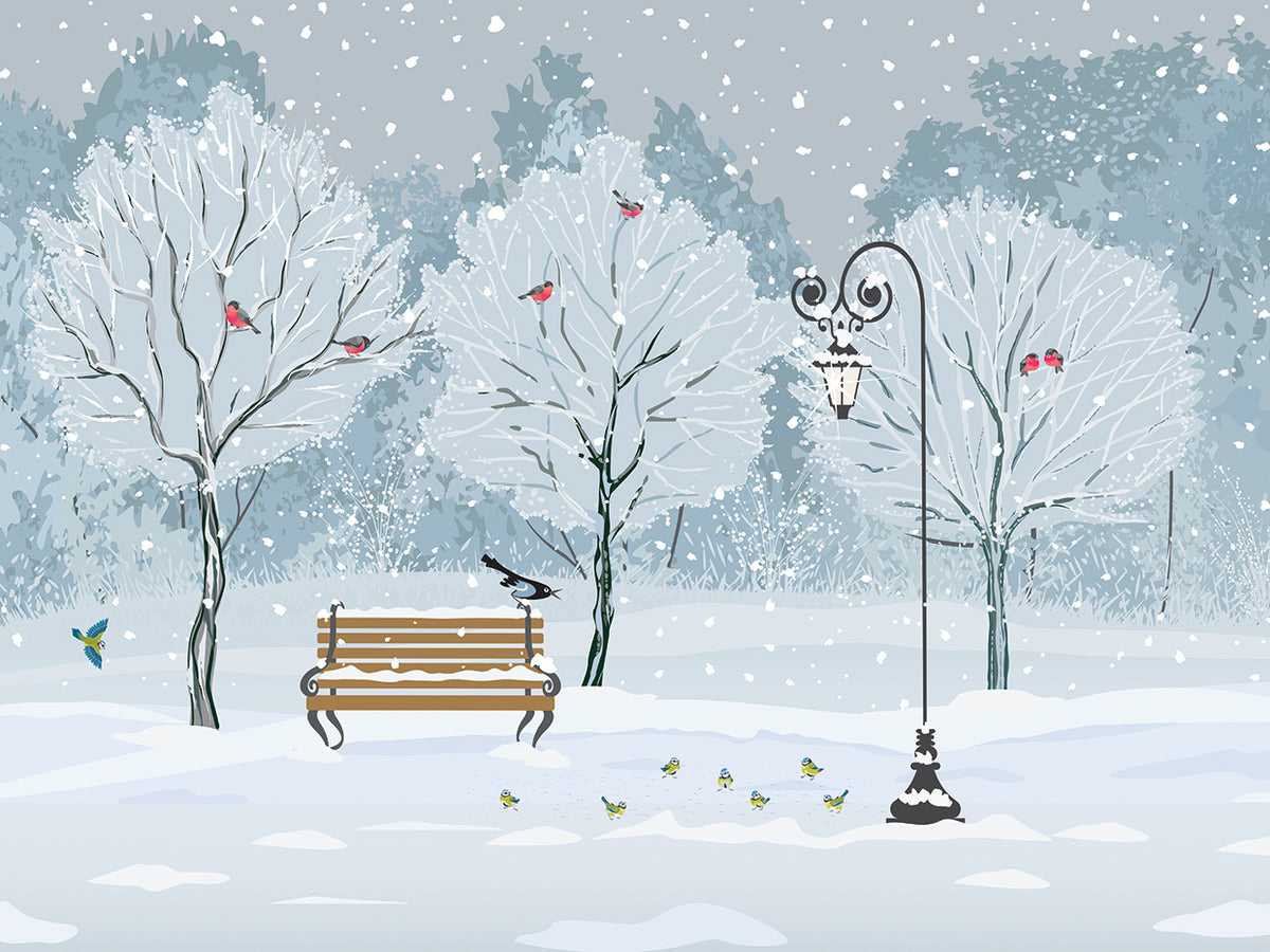 Winter Birds in the Park
