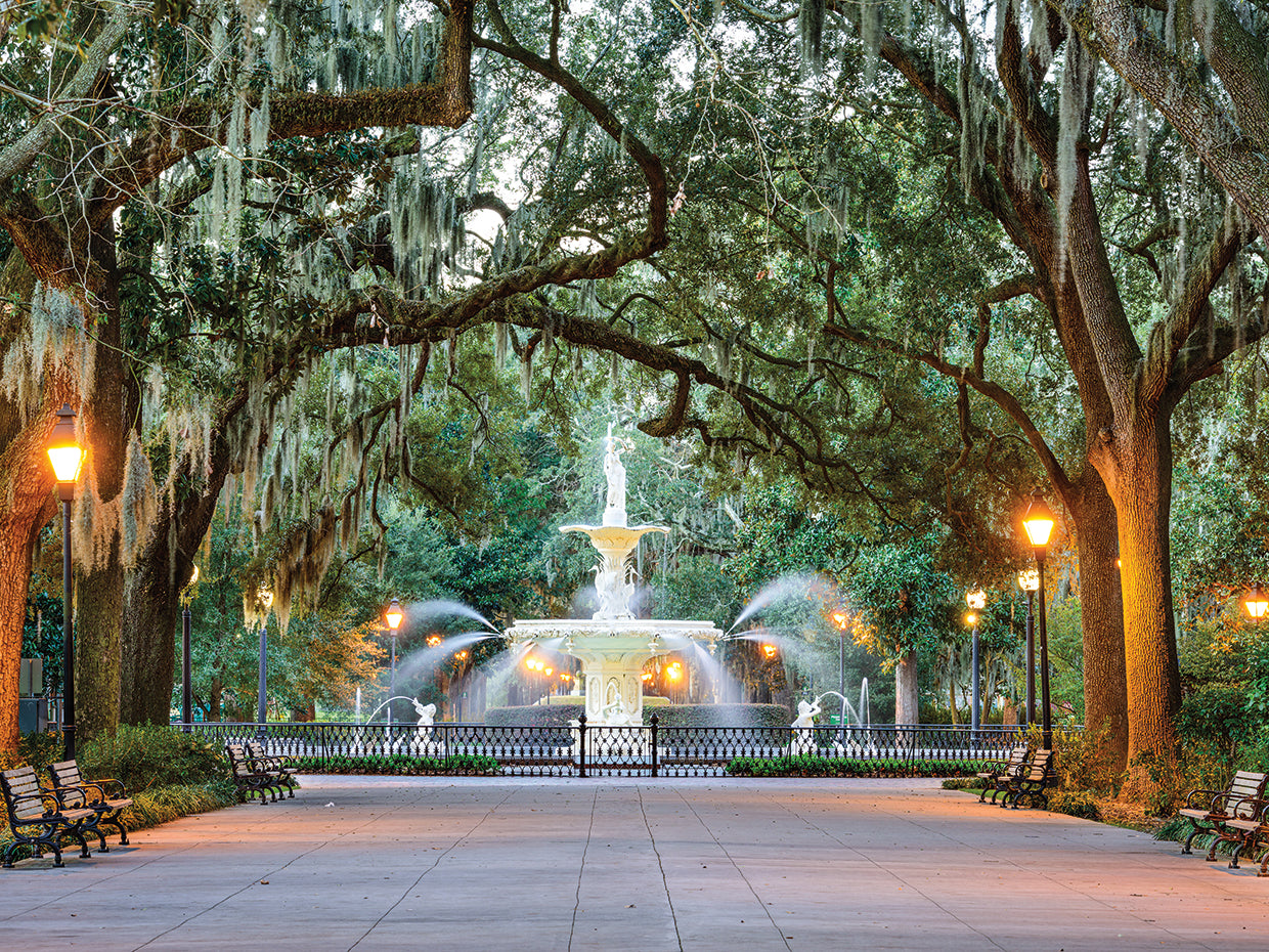 Fuente del parque Savannah Lienzo