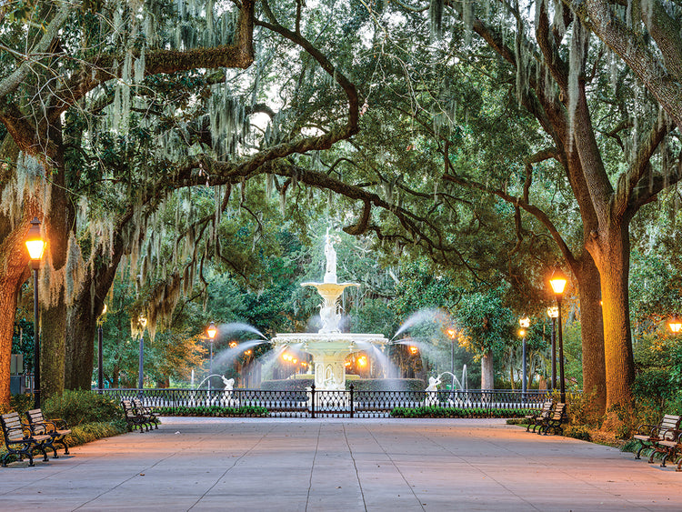 Fuente del parque Savannah Lienzo