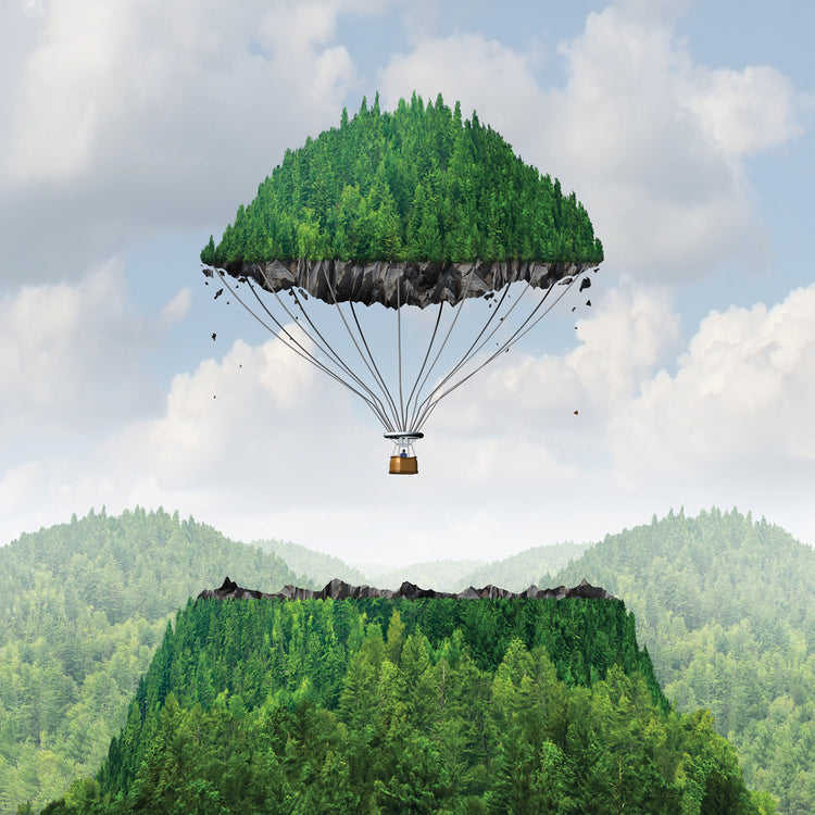 Folleto de fantasía forestal Lienzo