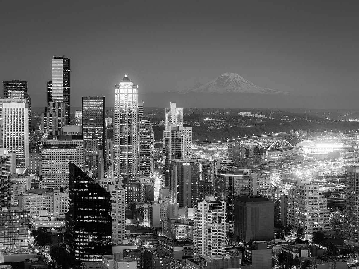 Seattle Skyline Vista B/W