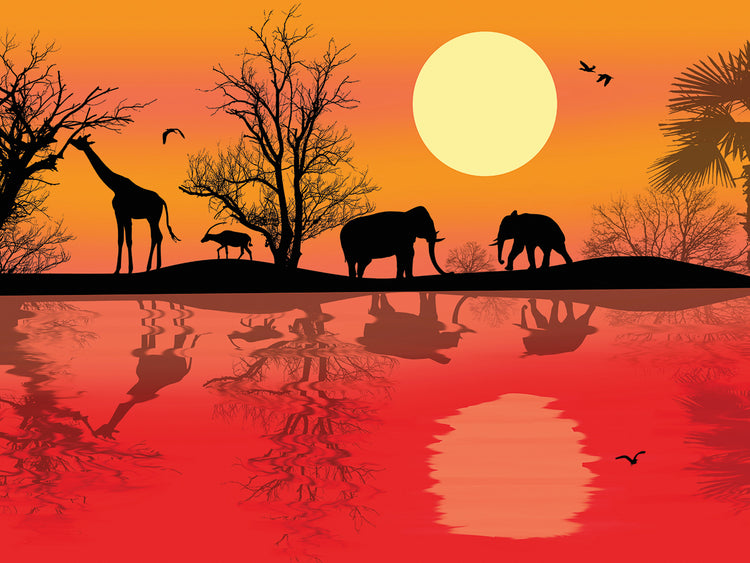 Safari Sunset Dreams Lienzo