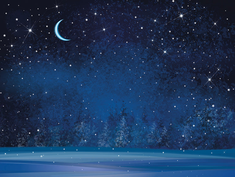 Maravillas de invierno Bosque iluminado por la luna Lienzo