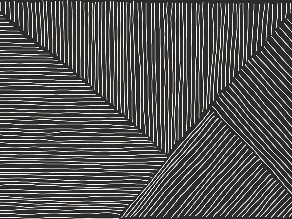Geometric B/W Mesh Abstract