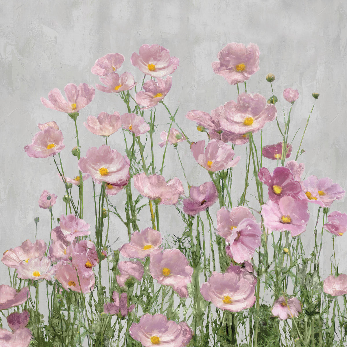 Blushing on Grey
