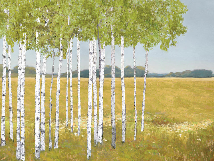 Into the Glade Explore