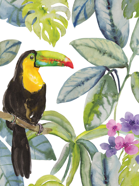 Toucan Seek Canvas Print