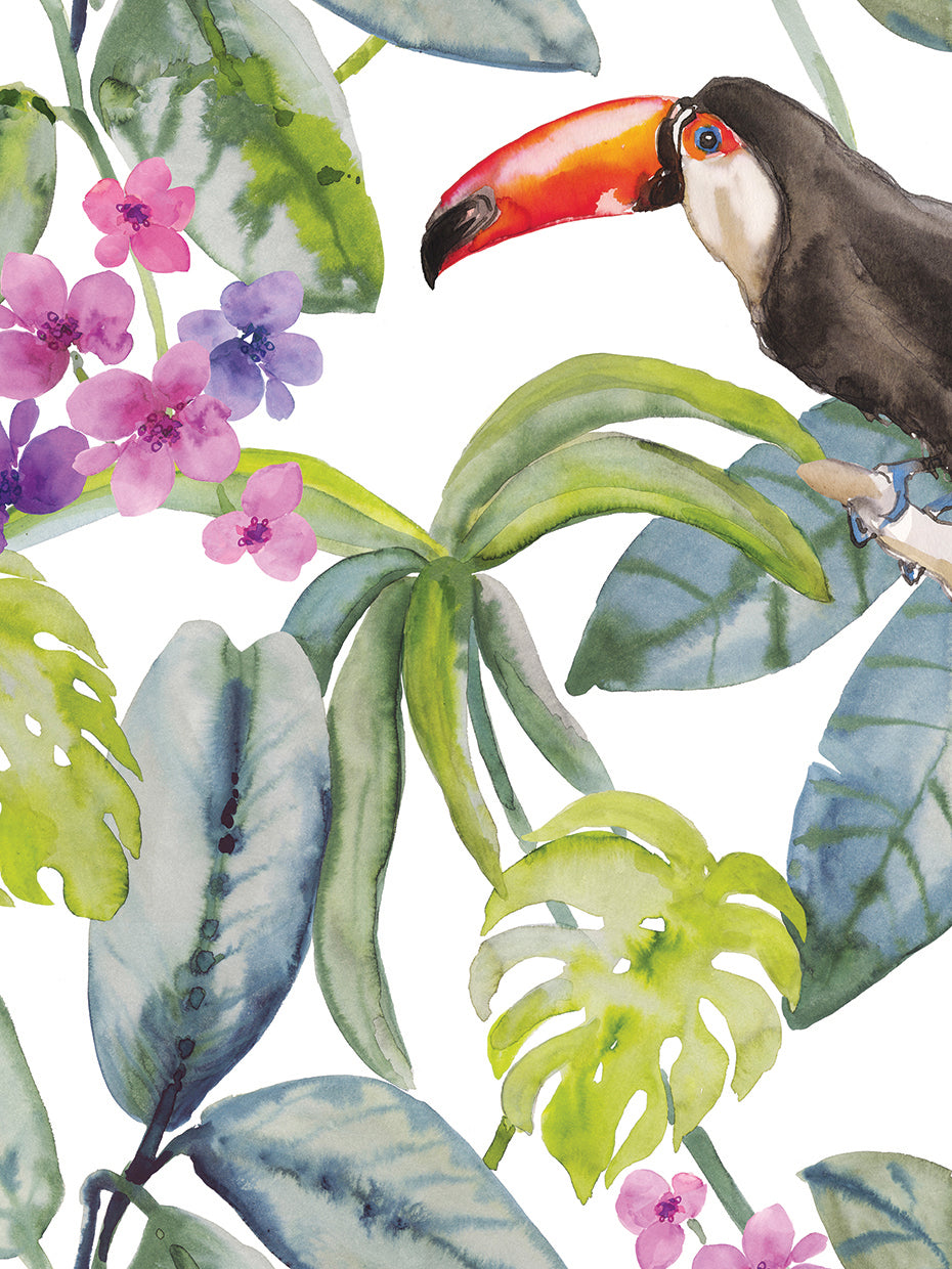 Toucan Hide