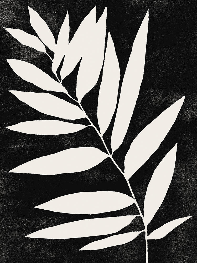 Organic Silhouette Growth