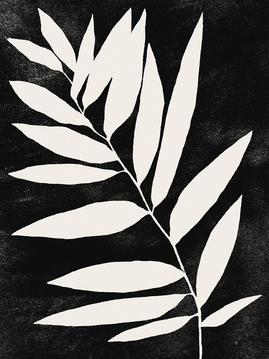 Organic Silhouette Growth