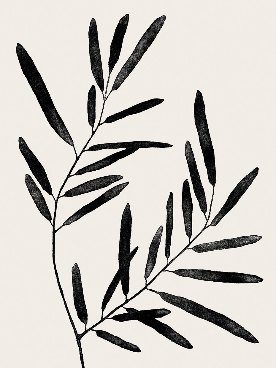 Organic Silhouette Bud