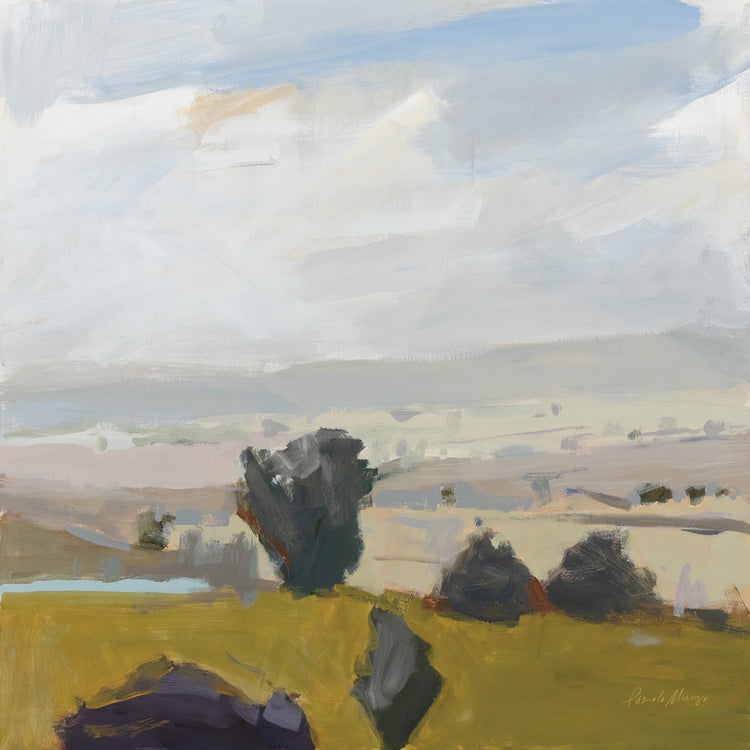 Vista del valle Lienzo