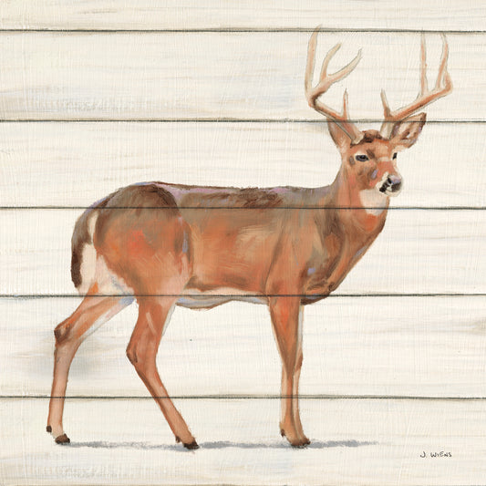 Northern Wild V on Wood Canvas Print