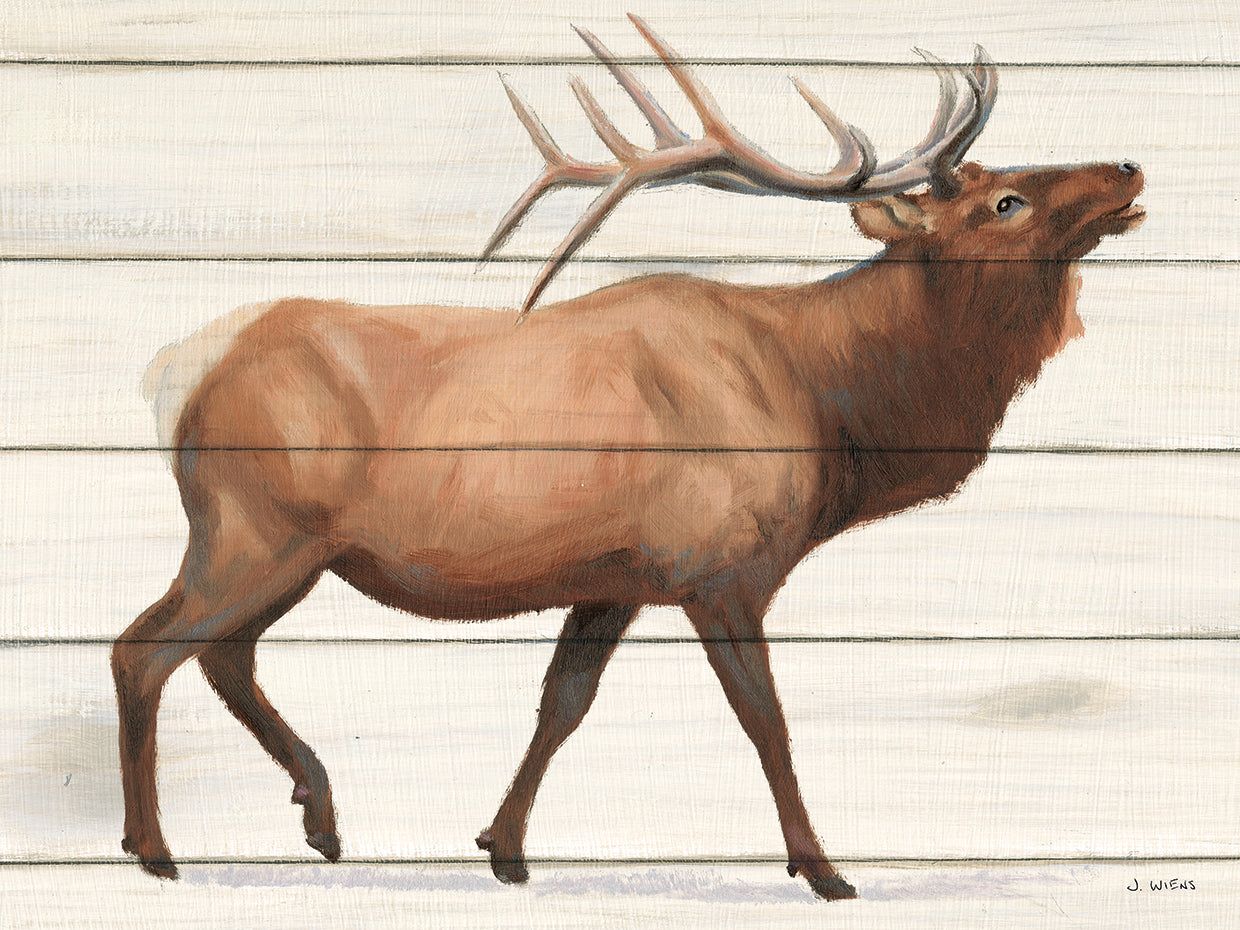 Northern Wild III on Wood