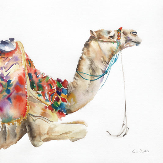 Desert Camel I Canvas Print