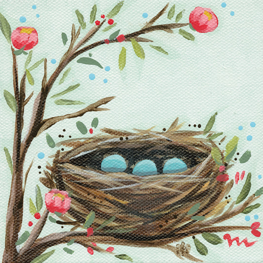 Robins Egg Nest