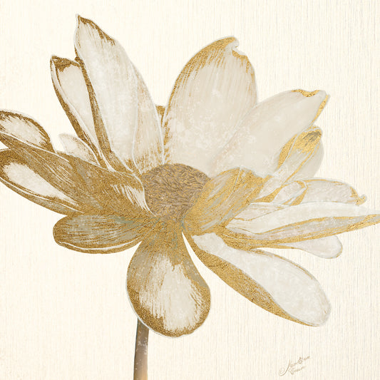 Vintage Lotus Cream I Canvas Print