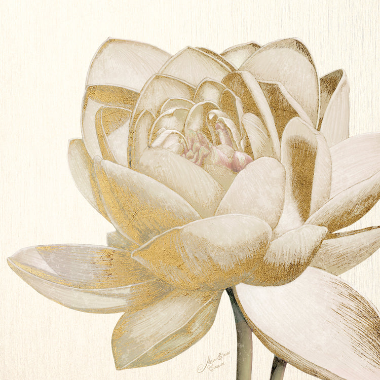 Vintage Lotus Cream II