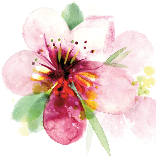 Floral Beauty I Canvas Print