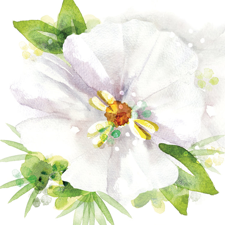 Belleza floral III Lienzo