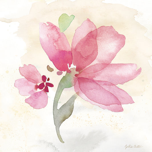 Poppy Single Pink Canvas Print