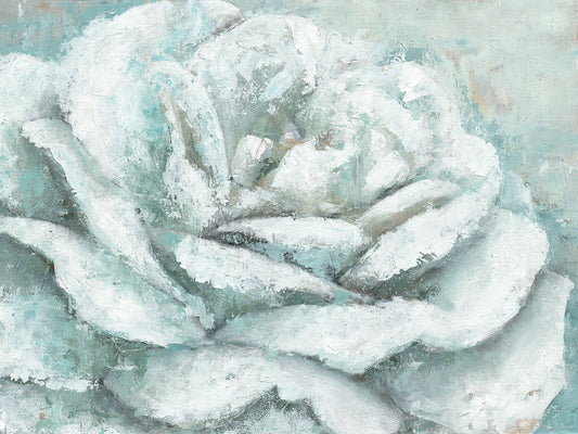 White Rose Splendor Canvas Print