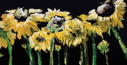 Sunflower Field on Black Canvas Print