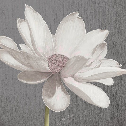 Vintage Lotus on Grey I Canvas Print