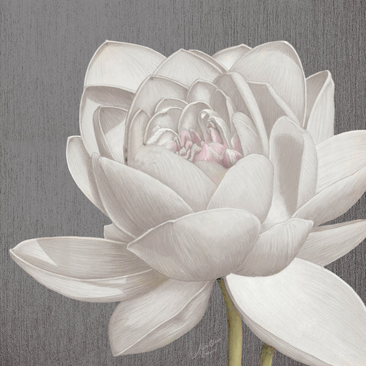 Vintage Lotus on Grey II Canvas Print