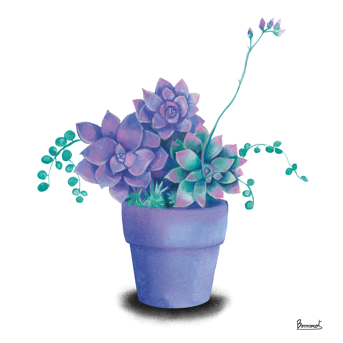 Turquoise Succulents II