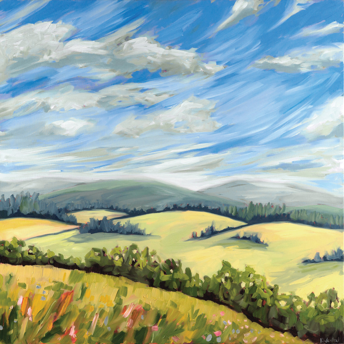 Wildeflower meadow