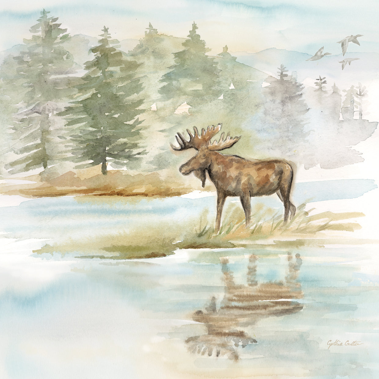 Woodland Reflections II-Moose