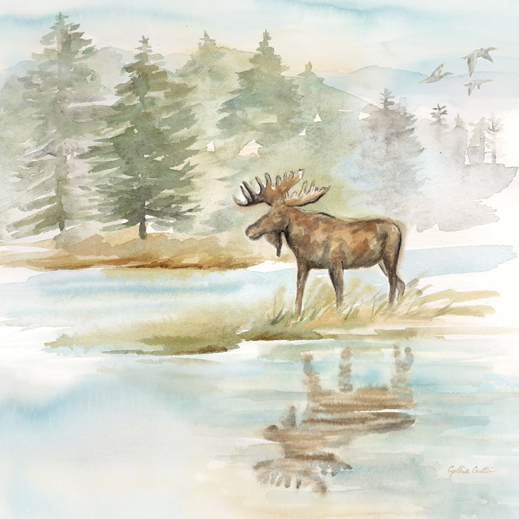 Woodland Reflections II-Moose