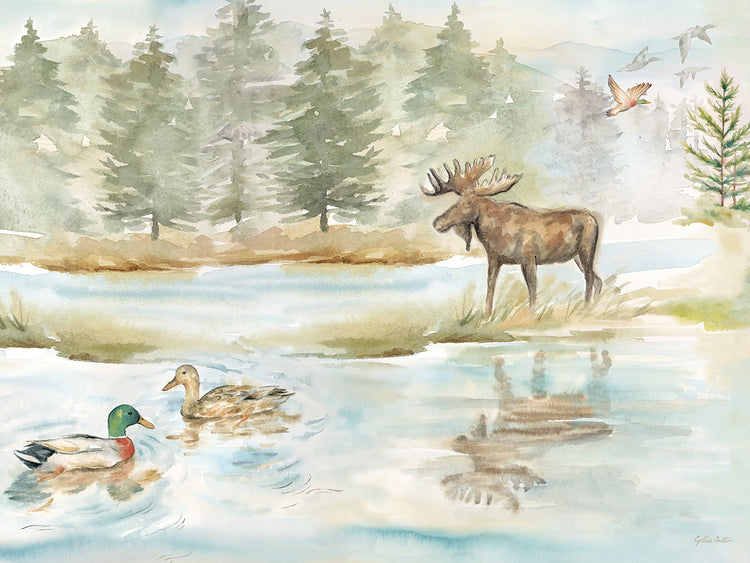 Woodland Reflections landscape II