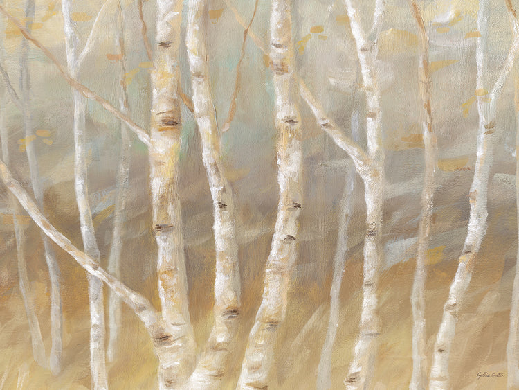 Autumn Birch landscape