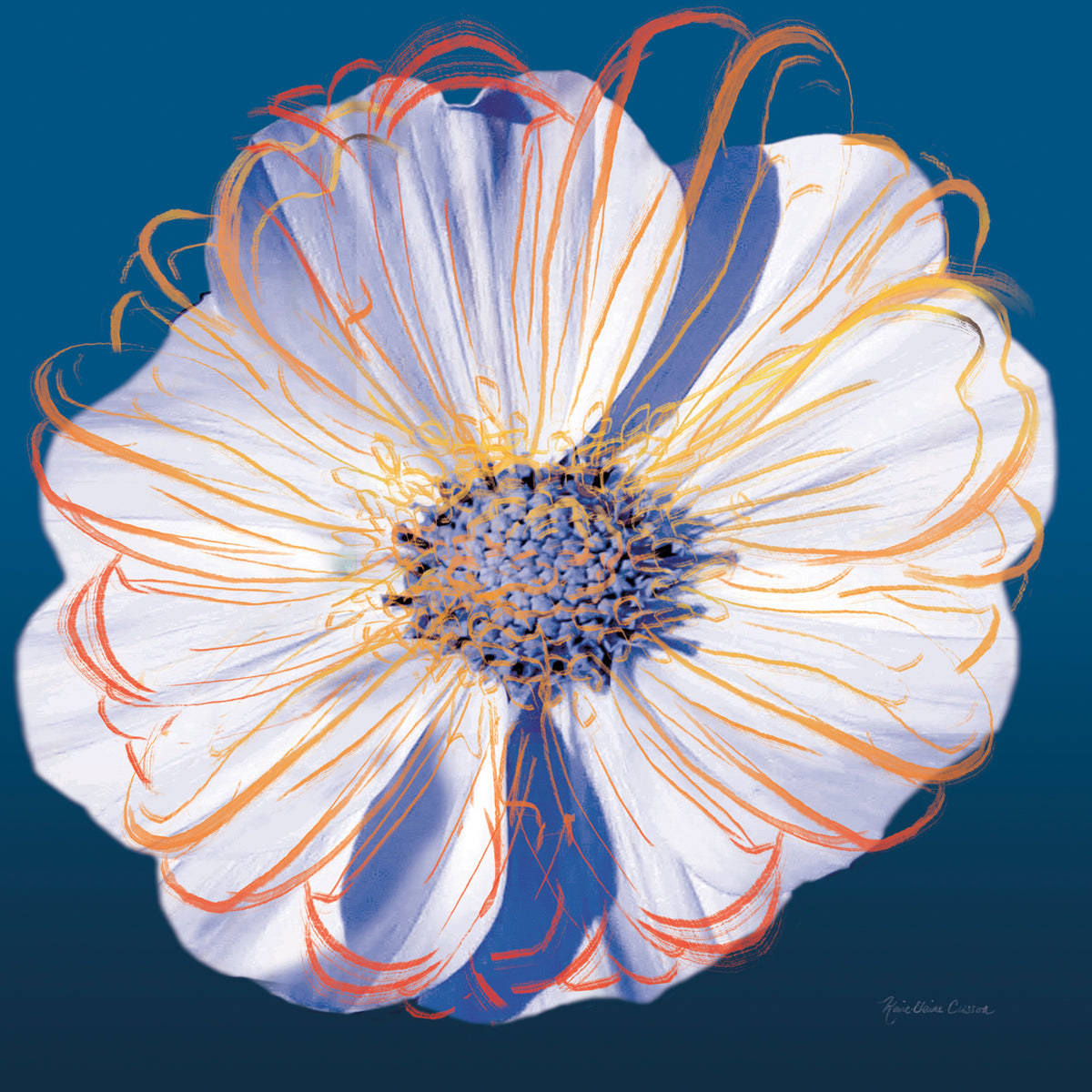Flower Pop Pastel II