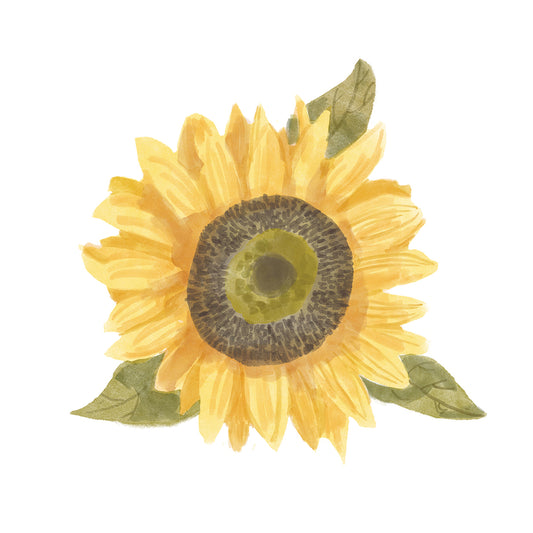 Single Sunflower I
