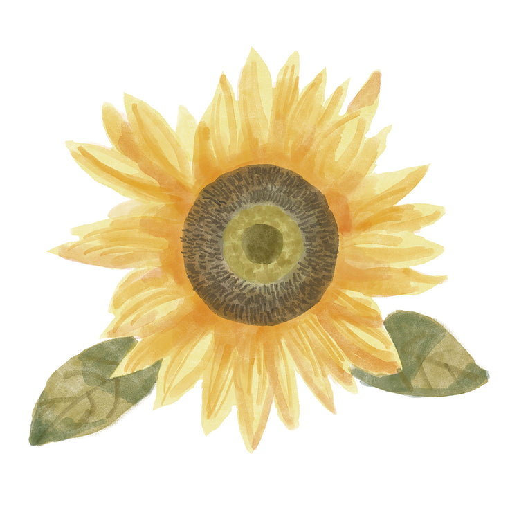 Solo girasol II Lienzo