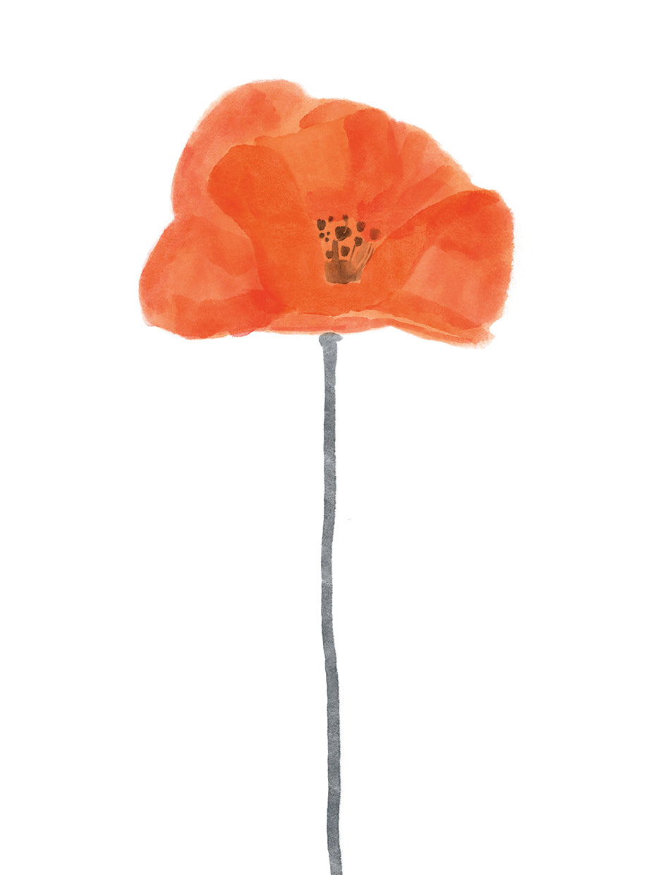 Solo Poppy Red II