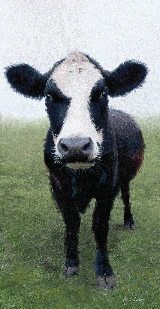 Funky Cow I Canvas Print
