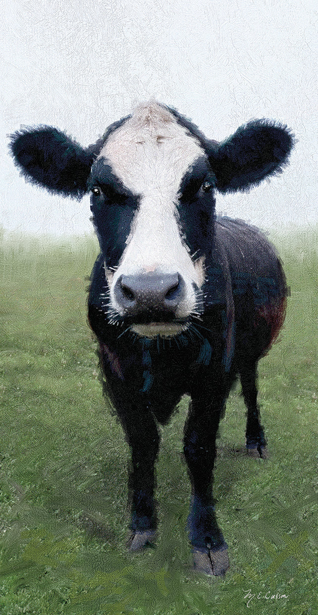 funky-cow-i-marie-elaine-cusson